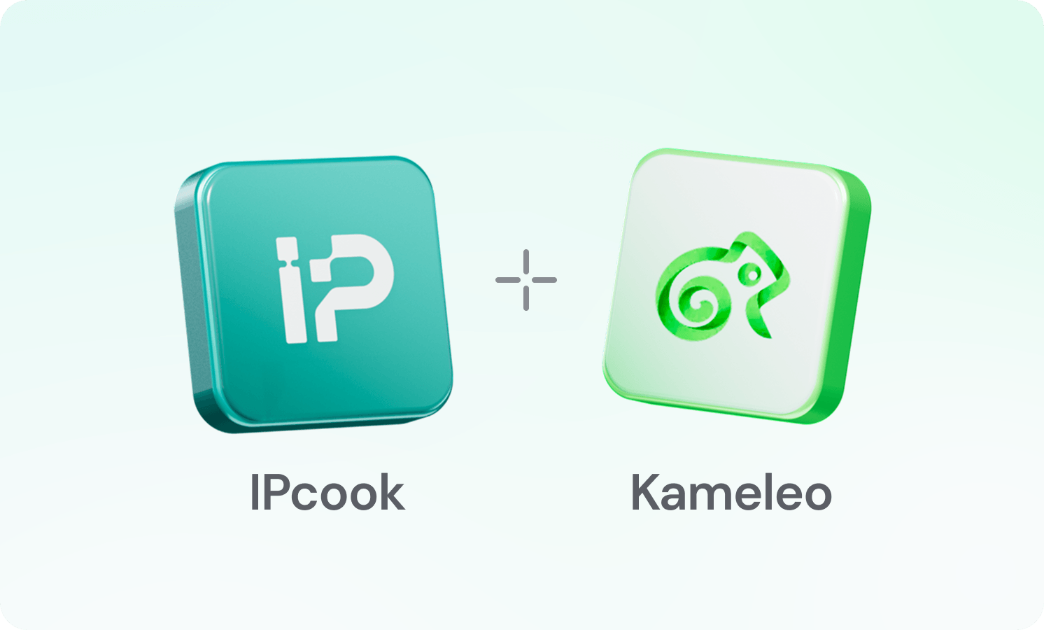 How to Set Up Proxies in Kameleo