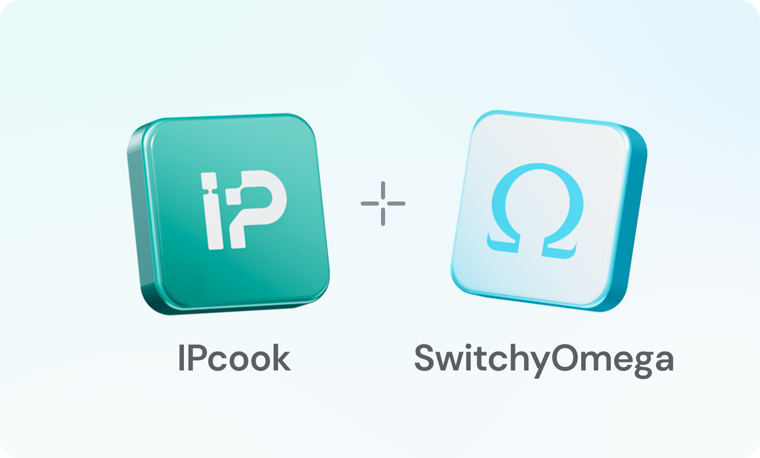 How to Use Proxy SwitchyOmega