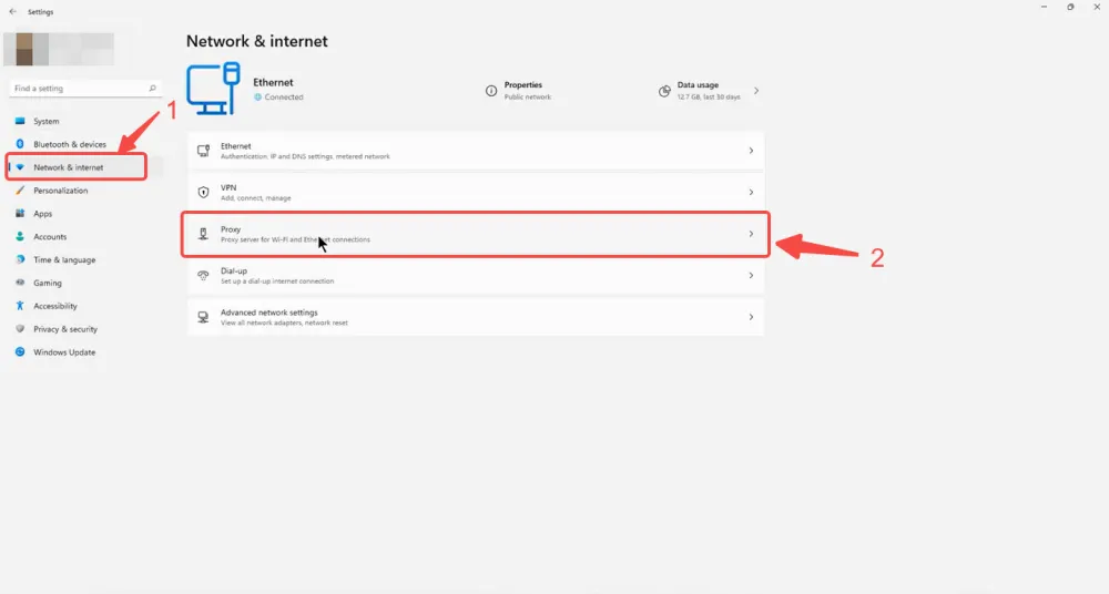 Click Network and Select Proxy