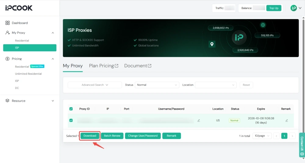Export ISP Proxy Credential Details