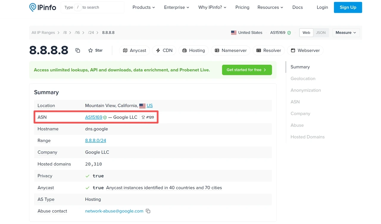 IPinfo lookup result showing ASN