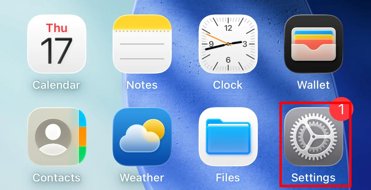 Open Settings on iPhone or iPad