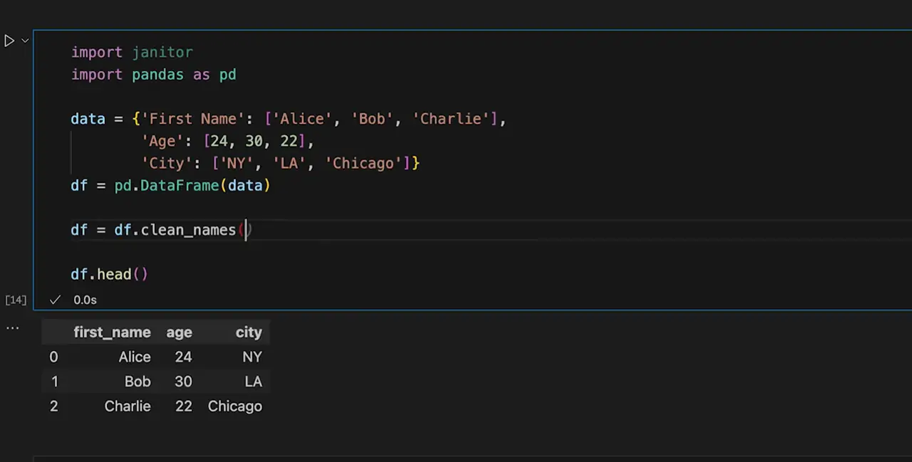 Pyjanitor Clean Names Before After