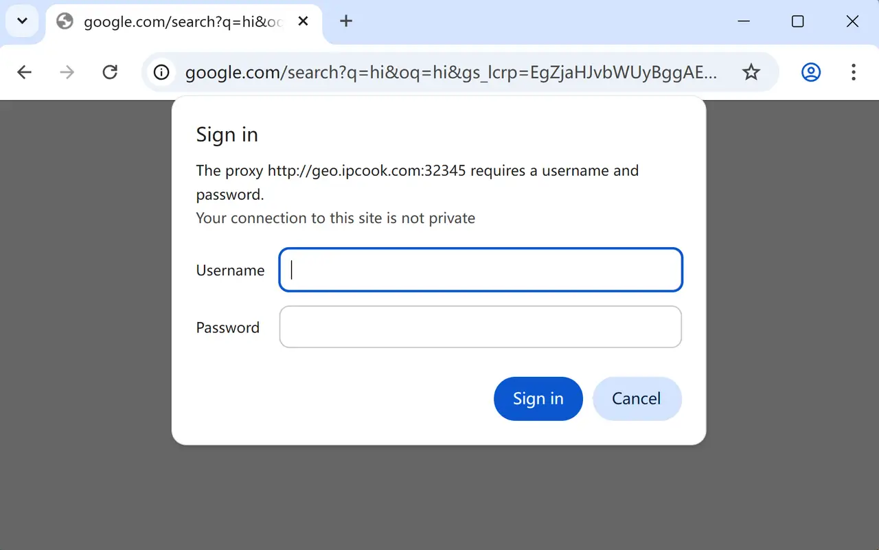Windows Proxy Login Prompt Asking for Username and Password