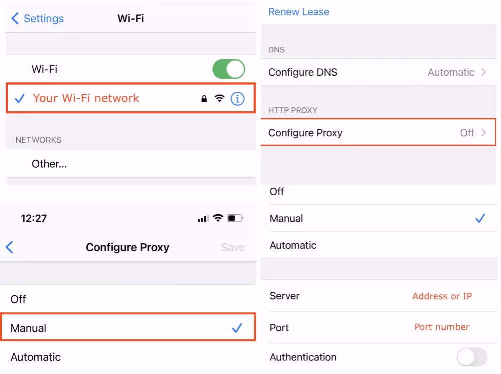 Use a Proxy Server on iPhone